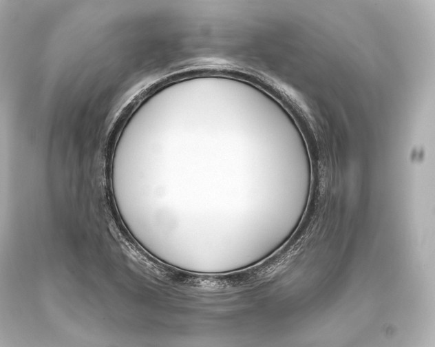 X0000093371318200711011220