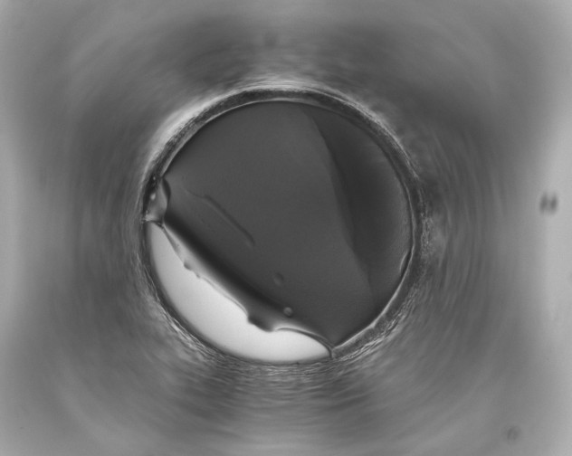 X0000093371319200711011220