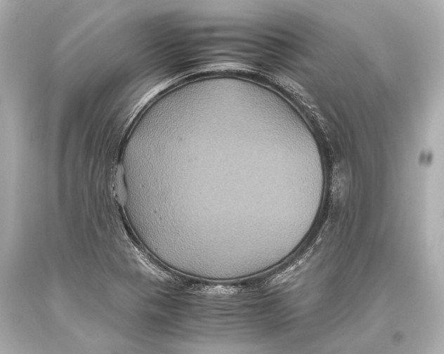 X0000093371321200711011220