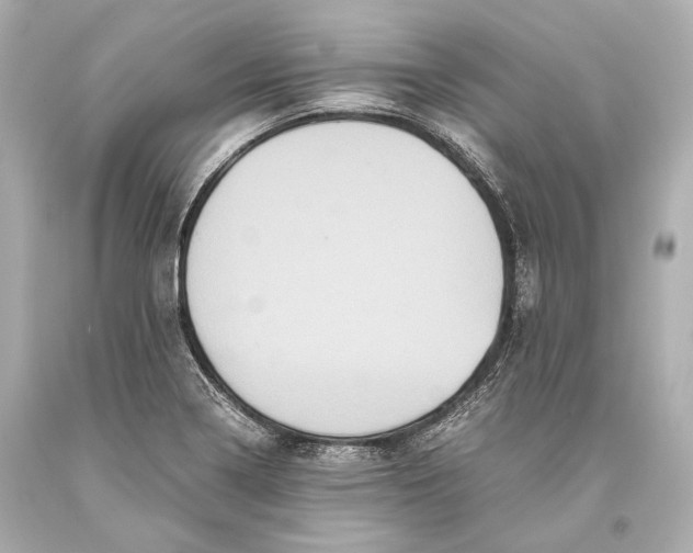 X0000093371322200711011220