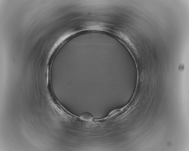 X0000093371323200711011220