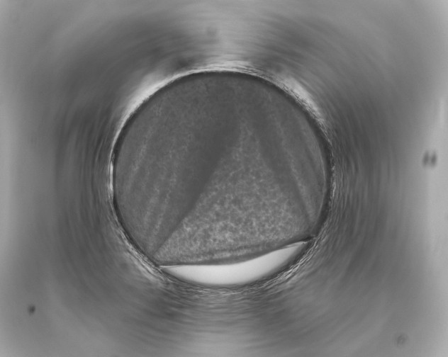 X0000093371324200711011220