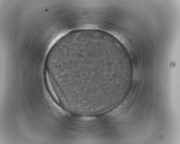 X0000093371325200711011220