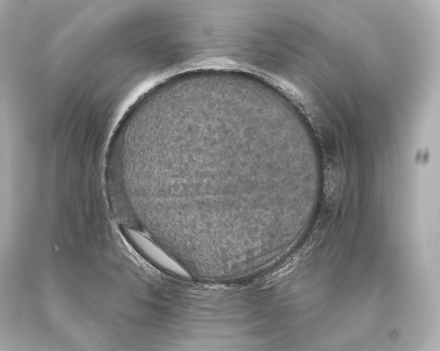 X0000093371326200711011220