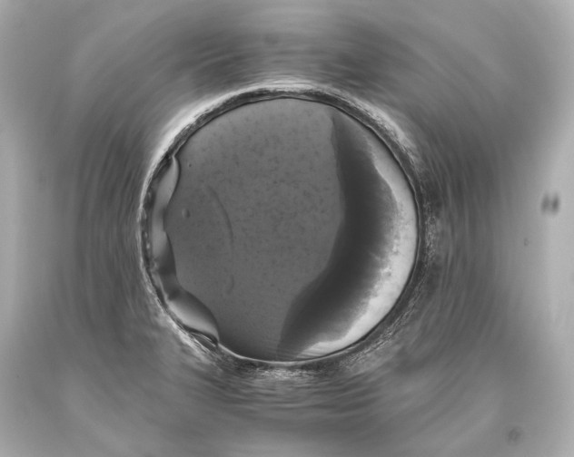 X0000093371327200711011220