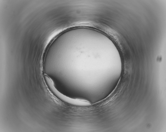 X0000093371328200711011220