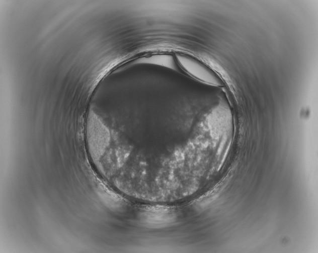 X0000093371329200711011220