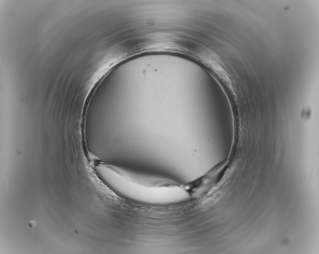 X0000093371330200711011220