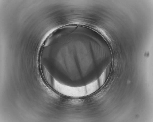 X0000093371331200711011220