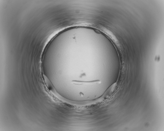 X0000093371332200711011220