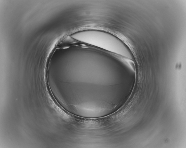 X0000093371334200711011220