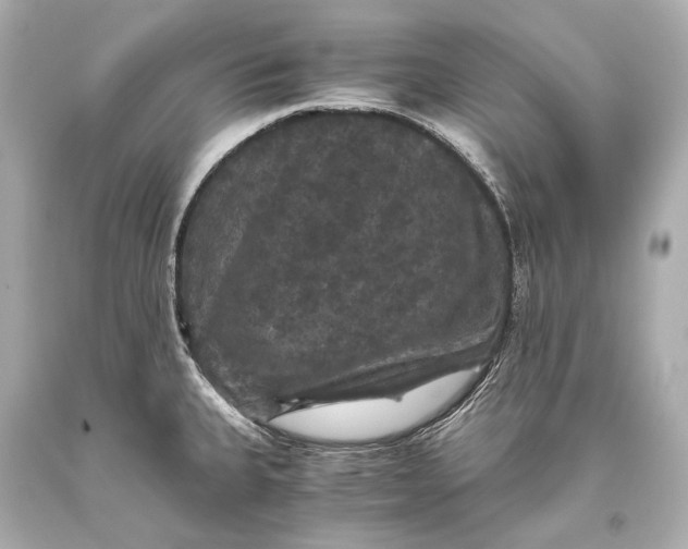 X0000093371335200711011220