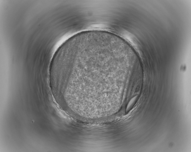 X0000093371336200711011220