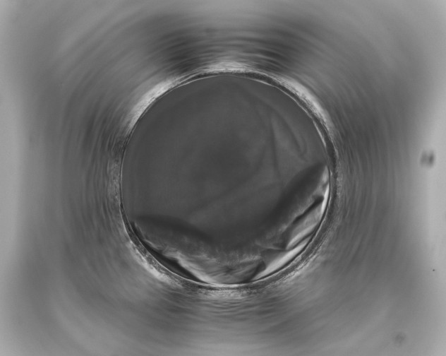 X0000093371337200711011220