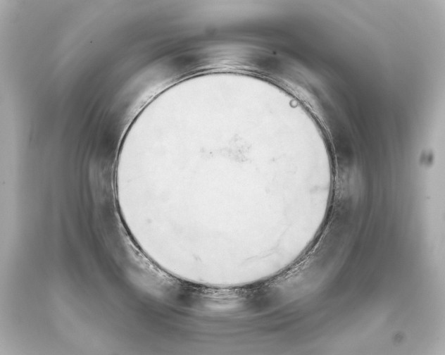 X0000093371338200711011220