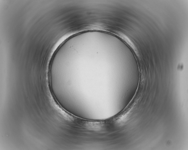 X0000093371339200711011220