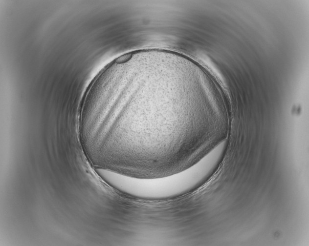 X0000093371340200711011220