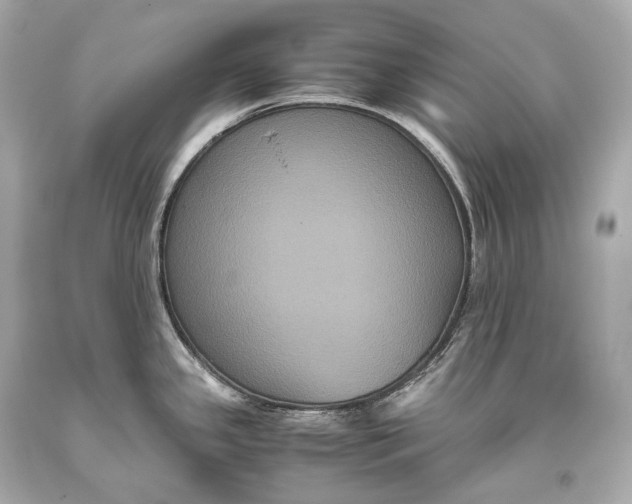 X0000093371341200711011220