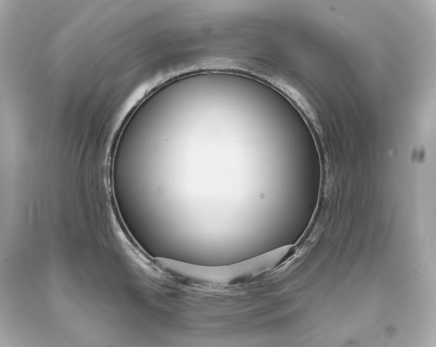 X0000093371342200711011220