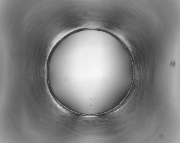 X0000093371343200711011220