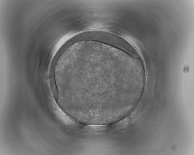 X0000093371344200711011220