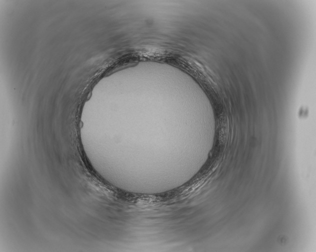 X0000093371345200711011219