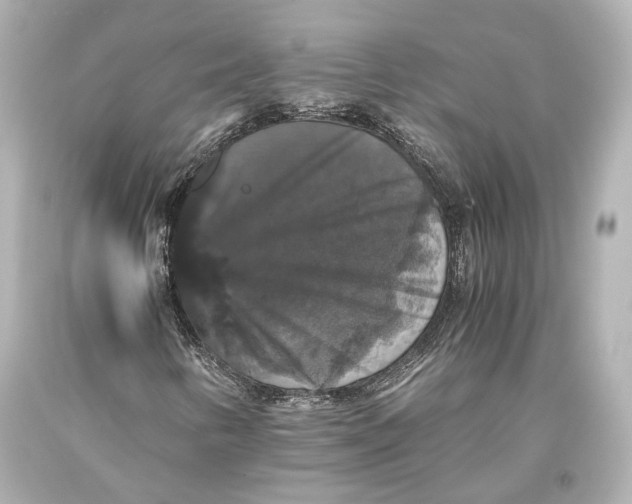 X0000093371346200711011219