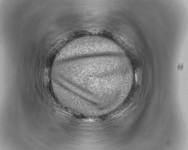 X0000093371347200711011219