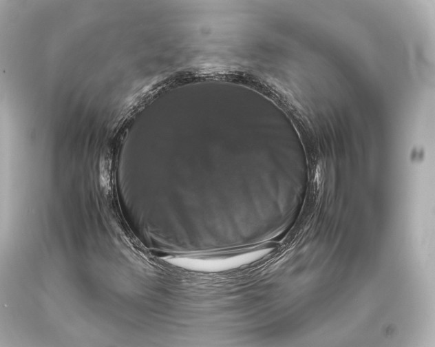 X0000093371348200711011219