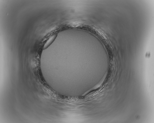 X0000093371349200711011219