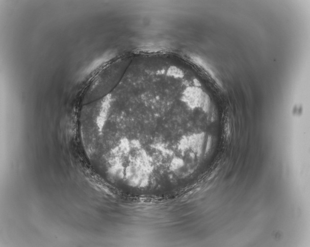 X0000093371350200711011219