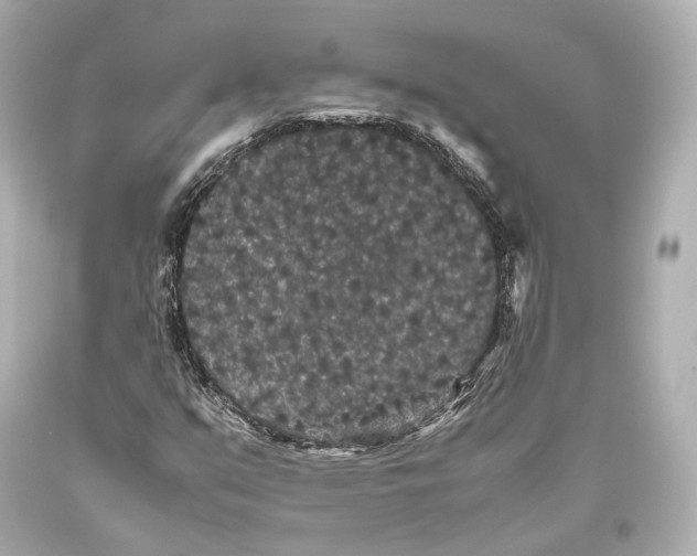 X0000093371351200711011219