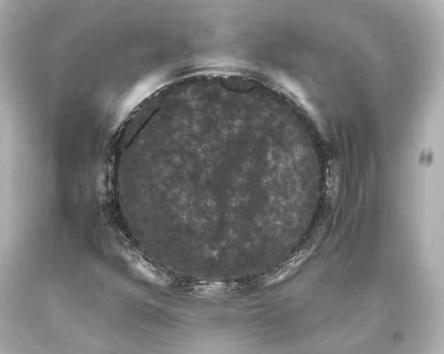 X0000093371352200711011219