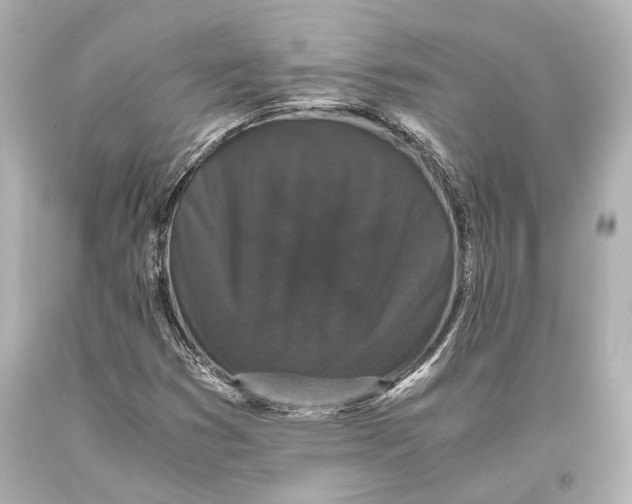 X0000093371353200711011219