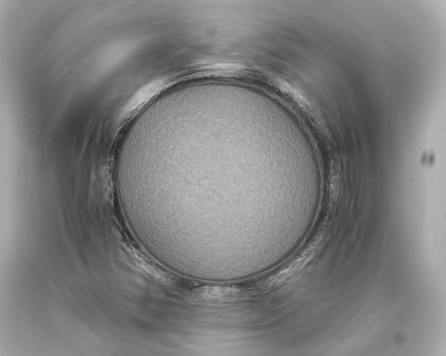 X0000093371354200711011219