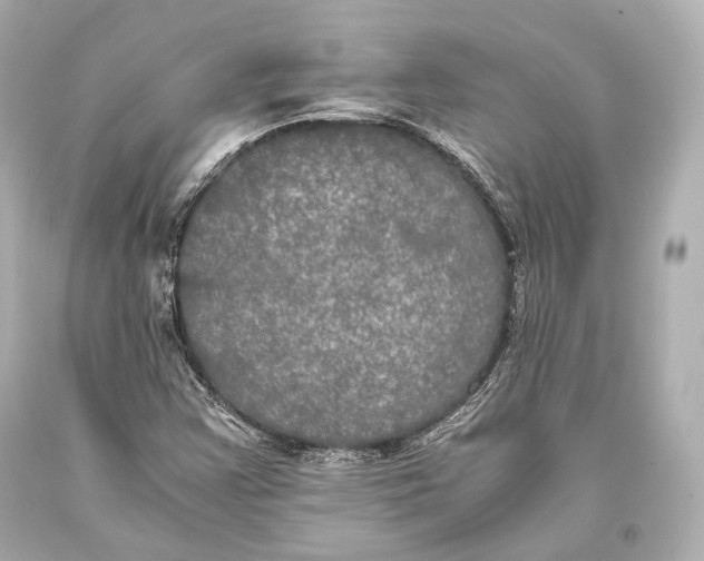 X0000093371355200711011219