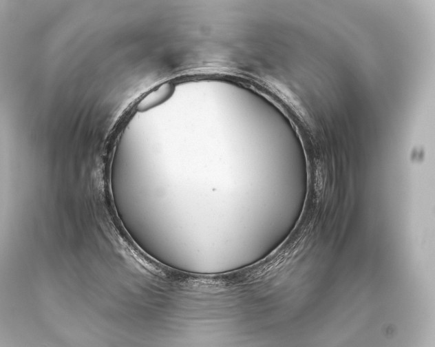 X0000093371356200711011219