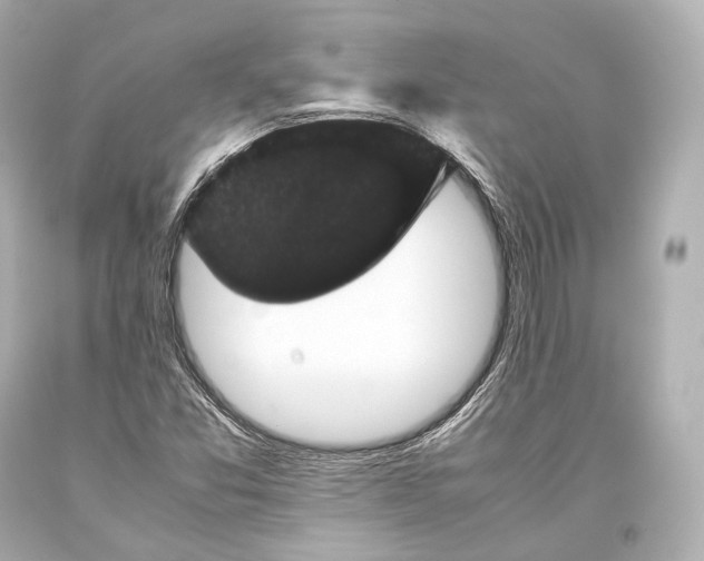 X0000093371357200711011219