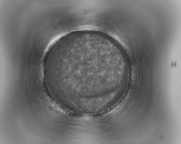 X0000093371358200711011219