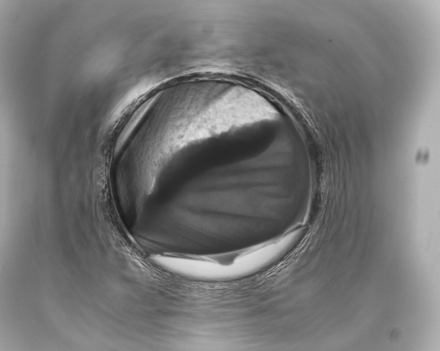 X0000093371359200711011219