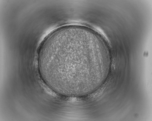 X0000093371360200711011219