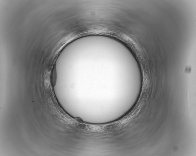 X0000093371361200711011219