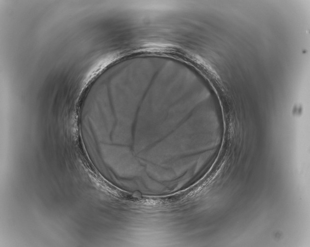 X0000093371362200711011219