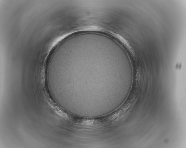 X0000093371364200711011219