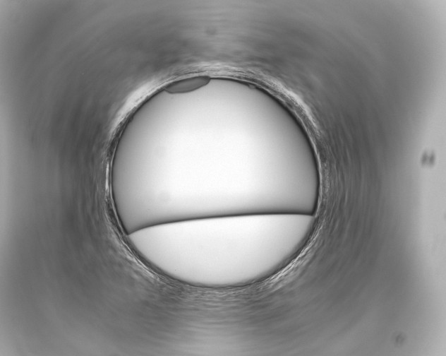 X0000093371365200711011219