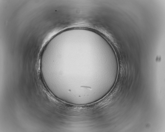 X0000093371366200711011219