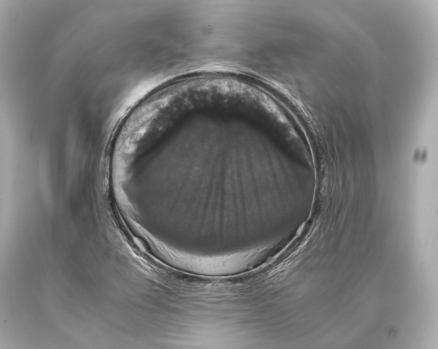 X0000093371367200711011219