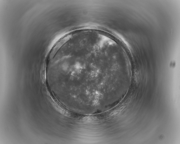 X0000093371368200711011219