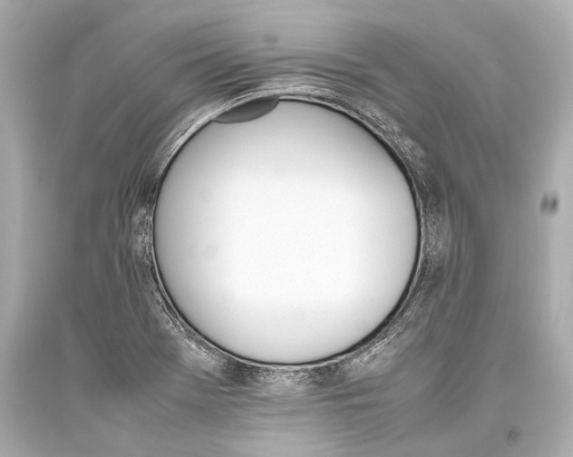 X0000093371369200711011219