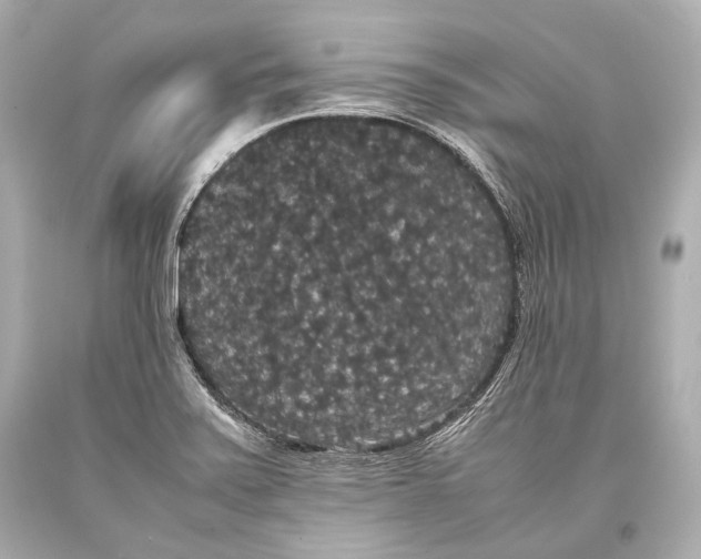 X0000093371371200711011219